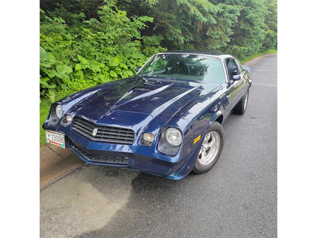 1979 Chevrolet Camaro Z28 (CC-1971475) for sale in Burnsville, Minnesota